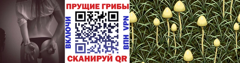 Псилоцибиновые грибы MAGIC MUSHROOMS  ссылка на мегу   Россошь 